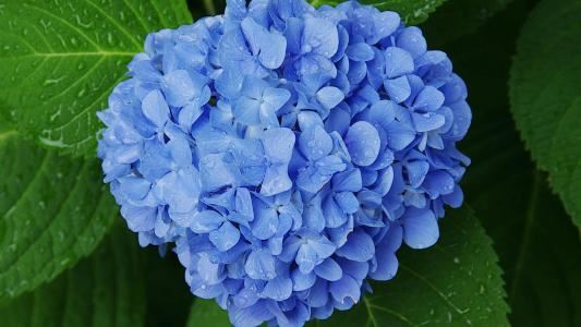 一个老木匠的工匠精神