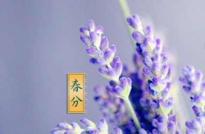 辛勤教导，滋养成长