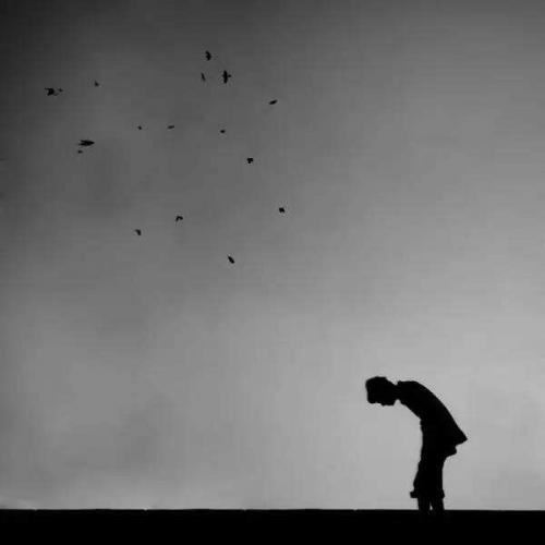 谁把寂寞守候成海