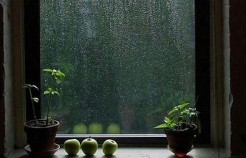 坚韧与爱，让我们更懂家庭的温暖