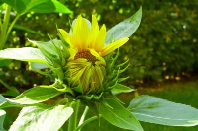 傻子没有爱情——第六章-第三节