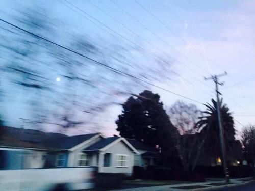 春意到，福来“闹”