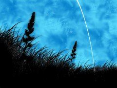 我生活中的梦：一个神秘又奇妙的旅程