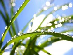 春日故事