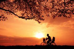 不爱白马爱竹马