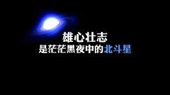 小动物的故事