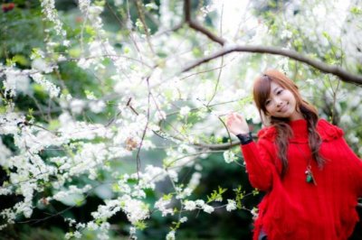 红叶飘落的季节