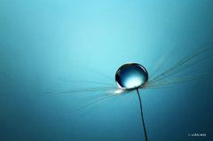 有些人 告别即是陌路