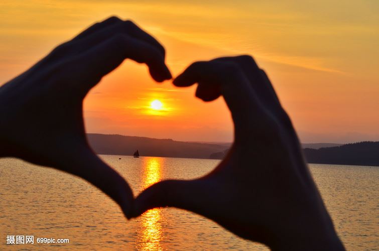 百花竞放不负春阳