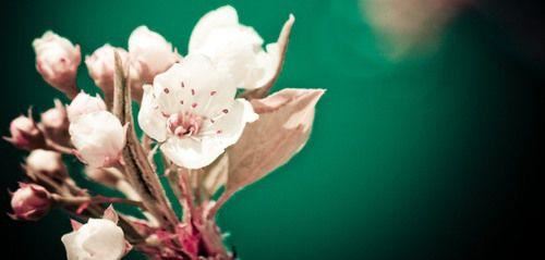 曾经,挥之不去的回忆