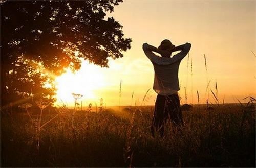 看不尽的夕阳秋