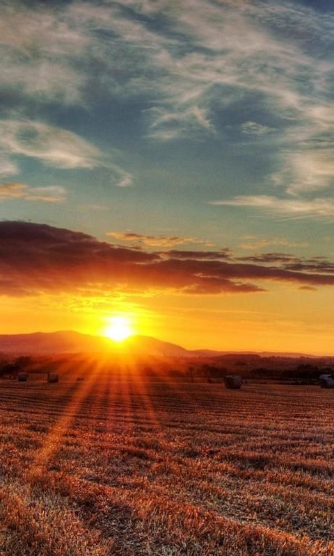 缘起一次钓鱼之行