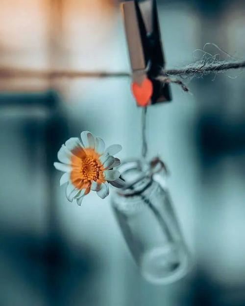 2009 谁认真谁就输了