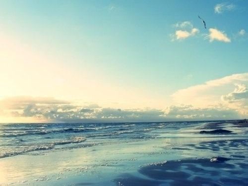 感恩父母的名言名句