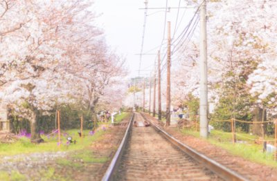 金陵十二钗正册——一载赴黄梁，迎春弃。