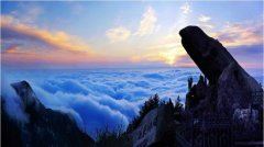 梦断红楼,潇湘蘅芜芳华凋零