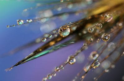 一个人的世界 等风 等你