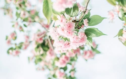 黑暗中的奇幻之旅