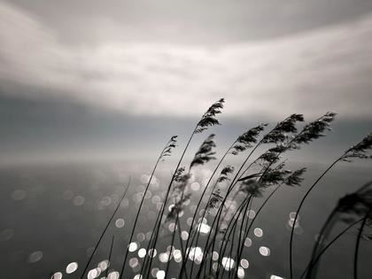 佛珠的净土法意