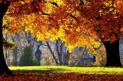 那些你不知道的事《知识篇》