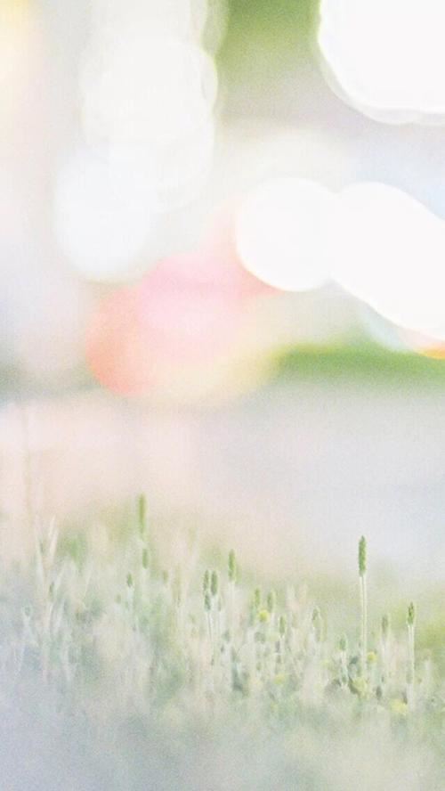 汴塘石磨煎饼 香味乡情总相宜