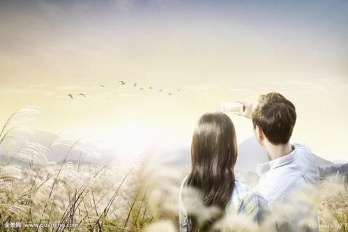 这是一个关于爱、温暖和希望的故事