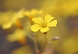 父母的怀抱是我的天堂