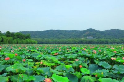 你的影子不曾丢失