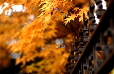 在过往的岁月里，我曾深深地，深深地爱过一个人