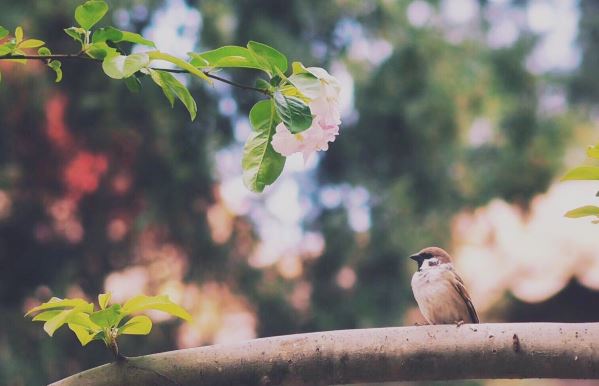 生活的乐趣何在