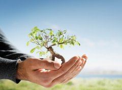 我不后悔——一个勇敢者的故事