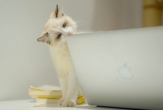 一次意外的旅行