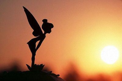 藏在四种蔬菜里的爱