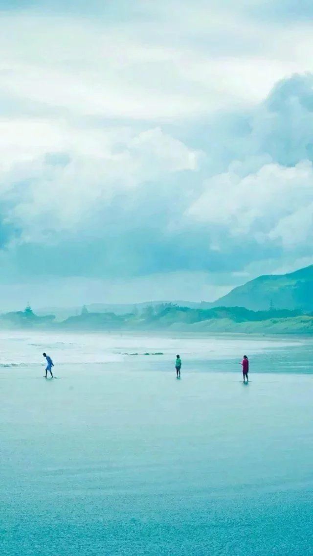 寂寞春思枉少年