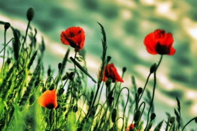 终于找到了自己的方向