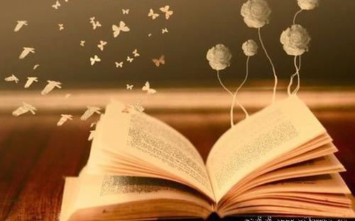 也谈坚韧与顽强