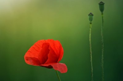 爱如尘埃，融在时空的光里