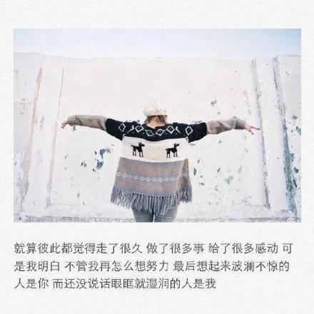 一场花事一场梦