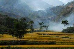 用感恩传承的态度，续写人生的精彩