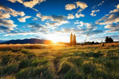 彼年，听雨桥旁