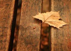 母亲的勤劳，让我成长为自信、独立的人