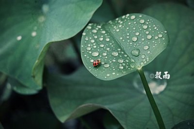 路过你的的世界