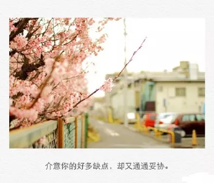 在时光的磨砺中坚强