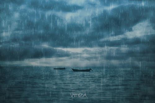 我心中的孝顺者