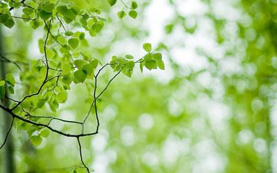 忽悠穷人生三胎