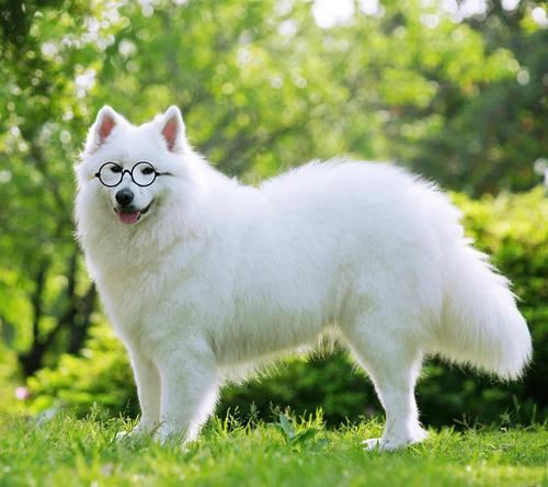 十七年的朋友,一封你看不到的信