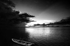 你恰好从我的全世界路过