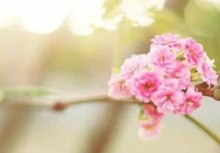 无畏无惧,以积极的精神走向成功