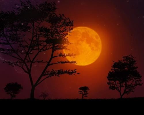 七:彼得还是没有明白老人想要表达的意思。他觉得自己还有很多时间可以浪费,所以他继续玩耍、浪费时间。