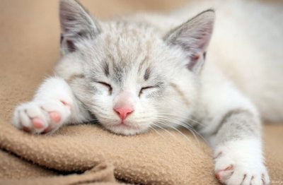 勤劳与智慧的结晶